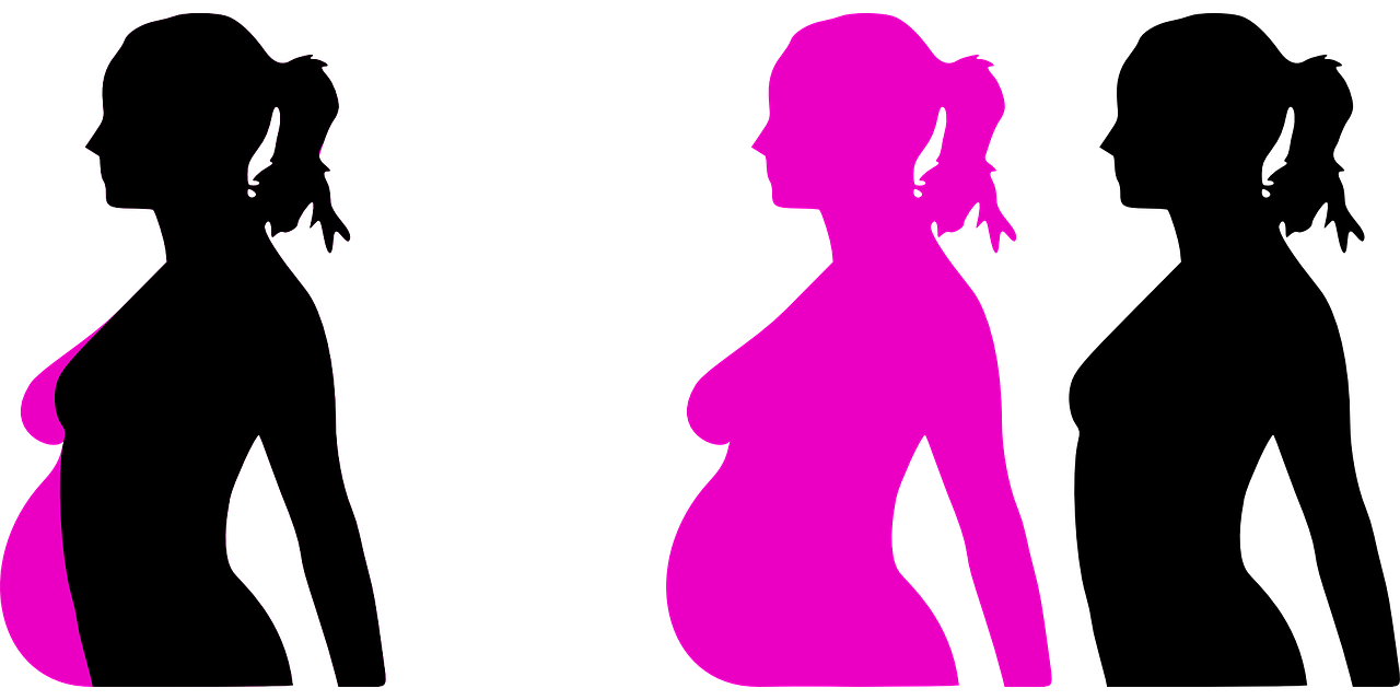 pregnancy-23889_1280